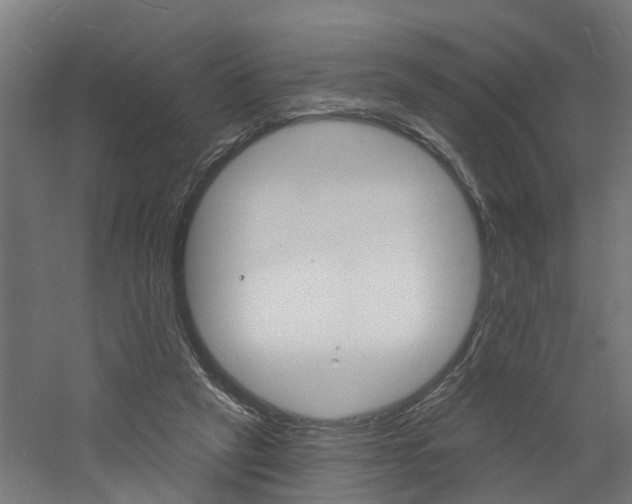 X0000060790257200511101042