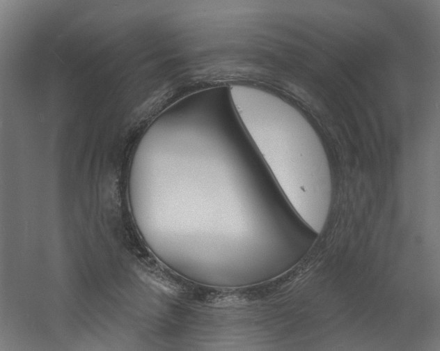 X0000060790258200511101042