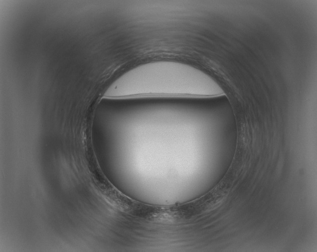 X0000060790259200511101042