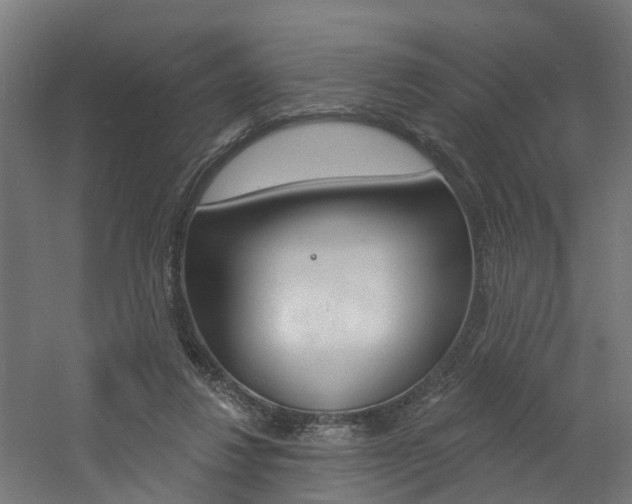 X0000060790260200511101042