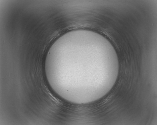 X0000060790261200511101042