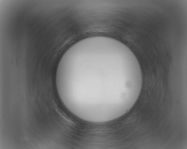 X0000060790262200511101042