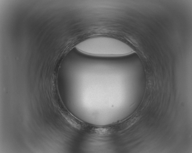 X0000060790265200511101042