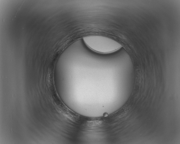 X0000060790266200511101042