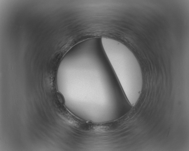 X0000060790268200511101042