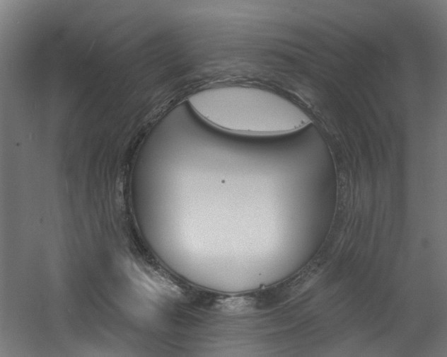 X0000060790269200511101042