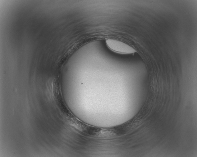 X0000060790270200511101042