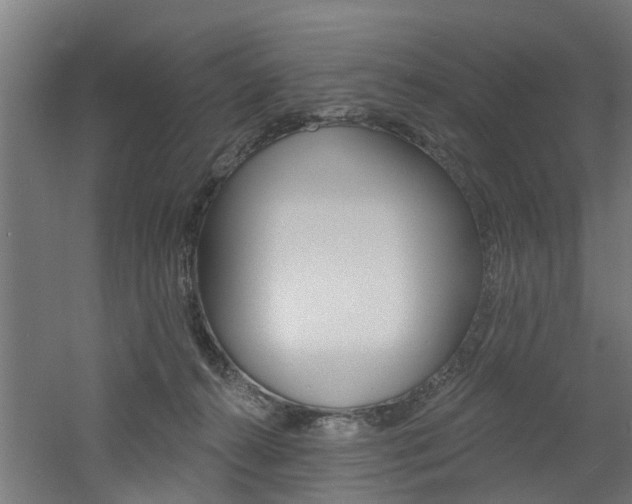 X0000060790272200511101042