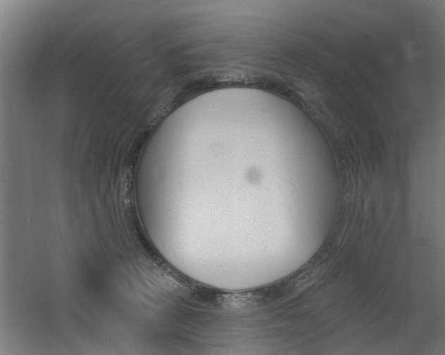 X0000060790273200511101042