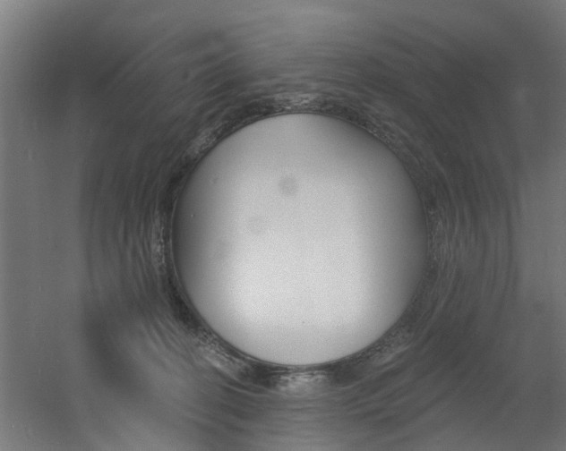 X0000060790274200511101042