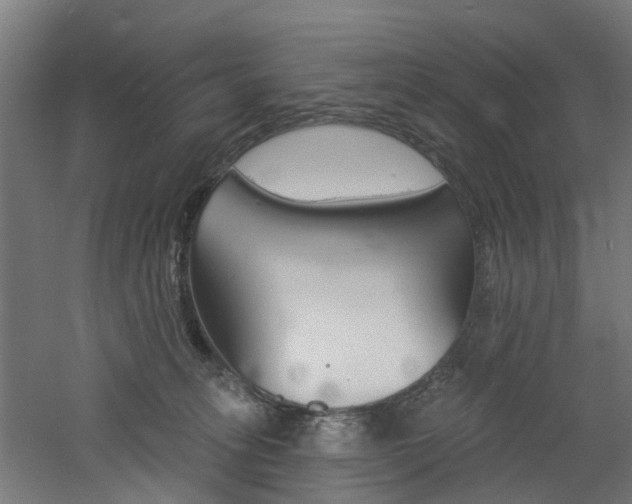 X0000060790275200511101042