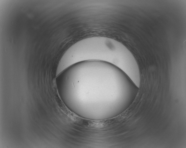 X0000060790276200511101042