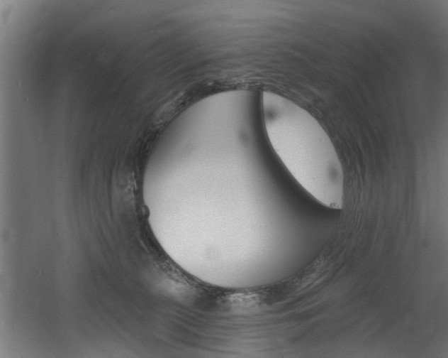 X0000060790279200511101042