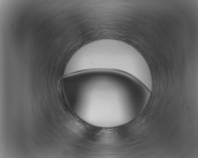 X0000060790280200511101042