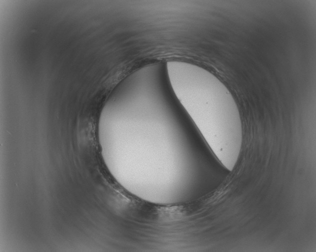 X0000060790281200511101042