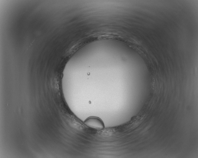 X0000060790282200511101042