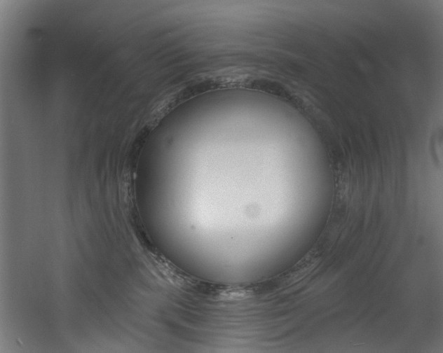 X0000060790283200511101042