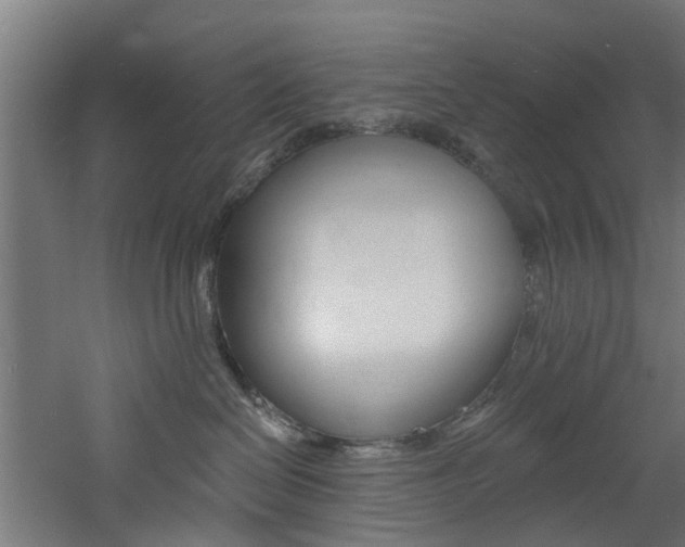 X0000060790286200511101042