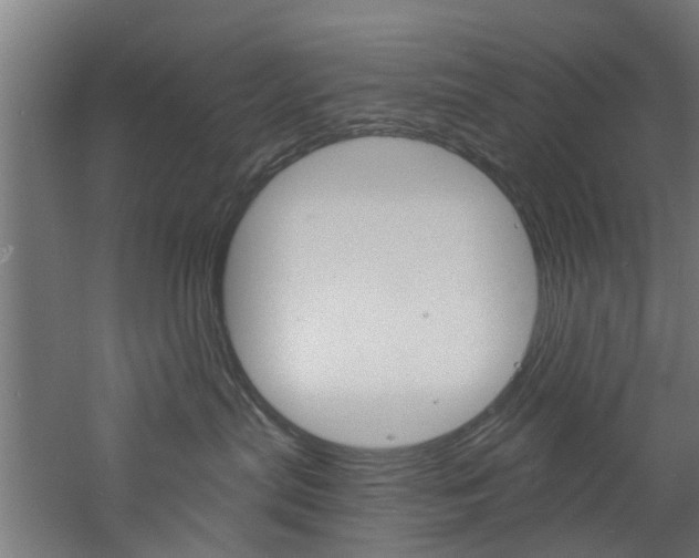 X0000060790287200511101042