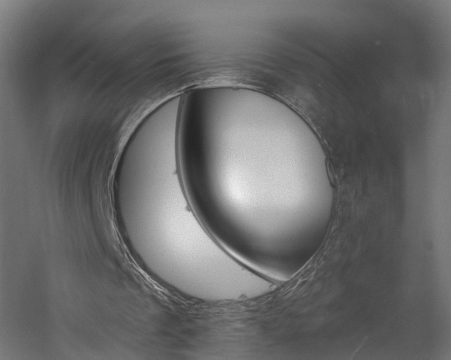 X0000060790289200511101042