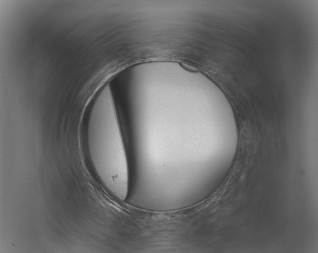 X0000060790290200511101042