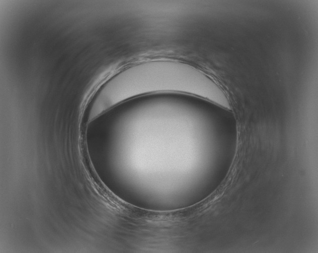 X0000060790293200511101041