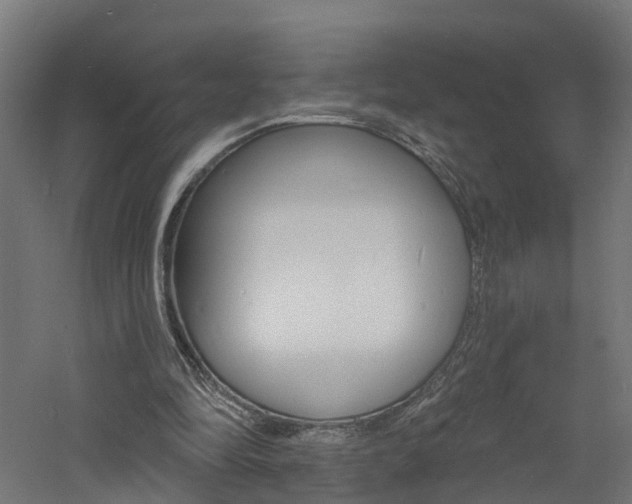 X0000060790294200511101041