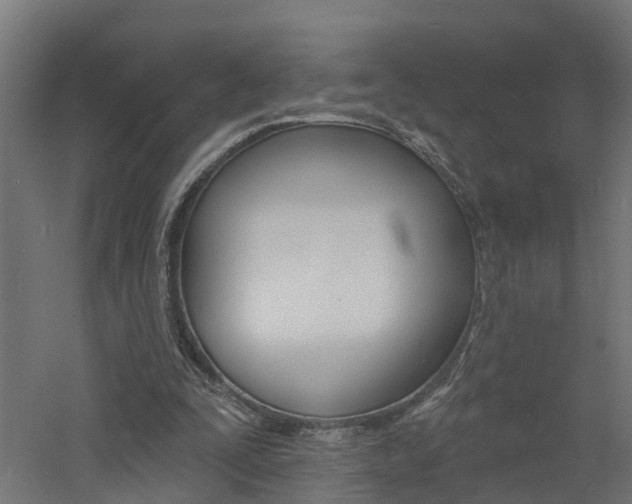 X0000060790295200511101041