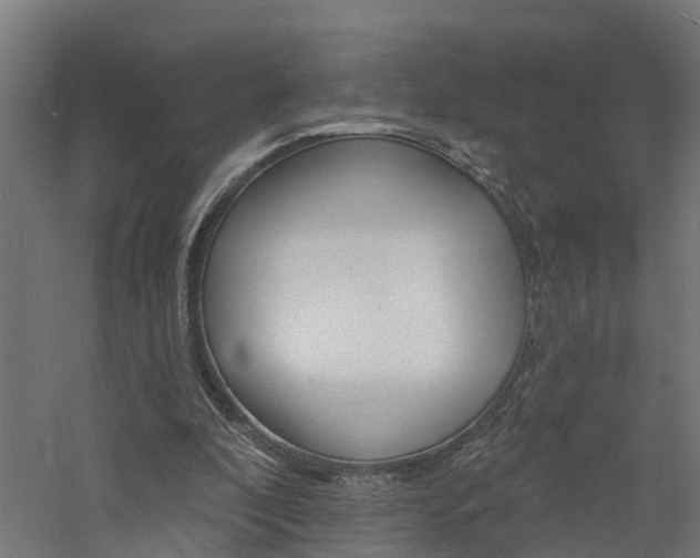 X0000060790296200511101041