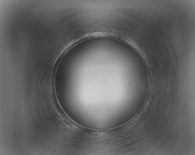 X0000060790297200511101041