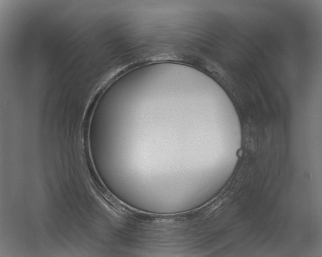 X0000060790298200511101041