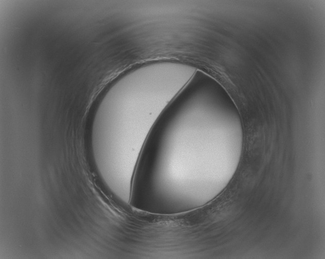 X0000060790299200511101041