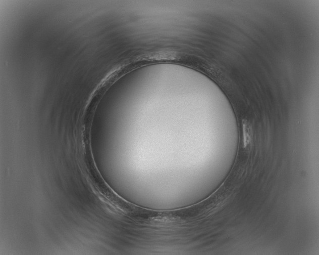 X0000060790300200511101041