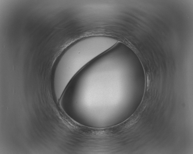 X0000060790301200511101041