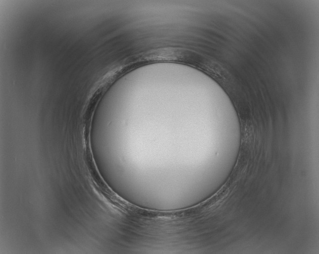 X0000060790302200511101041