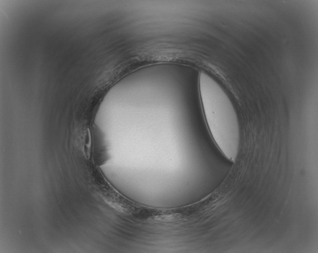 X0000060790307200511101041