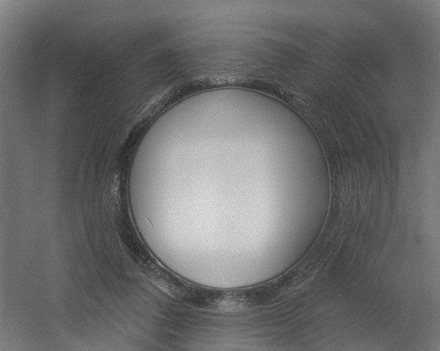 X0000060790308200511101041