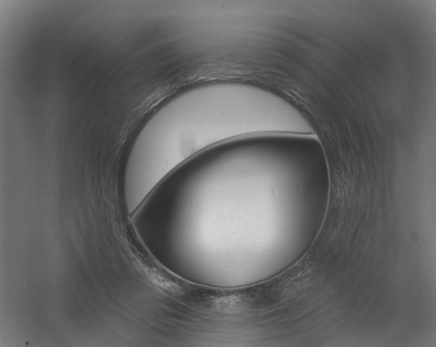 X0000060790309200511101041