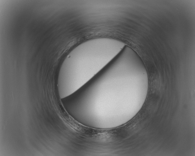 X0000060790310200511101041