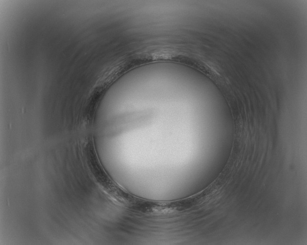 X0000060790311200511101041