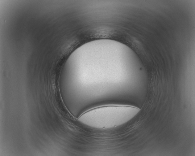 X0000060790312200511101041