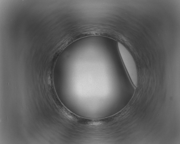 X0000060790313200511101041