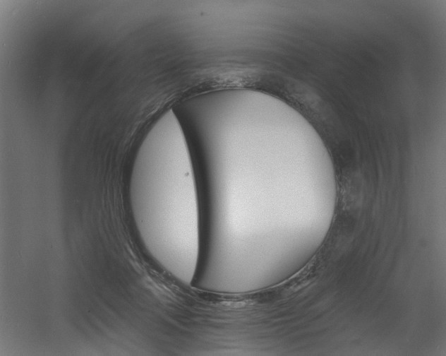 X0000060790314200511101041