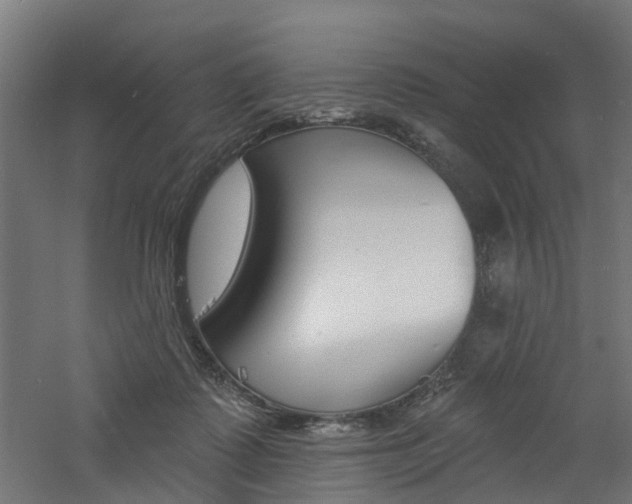 X0000060790315200511101041