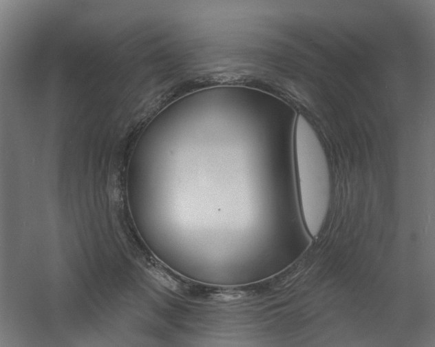 X0000060790317200511101041