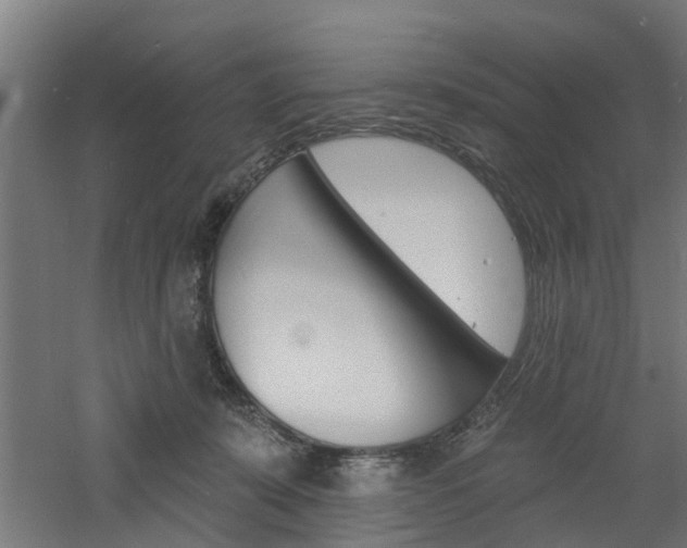 X0000060790319200511101041