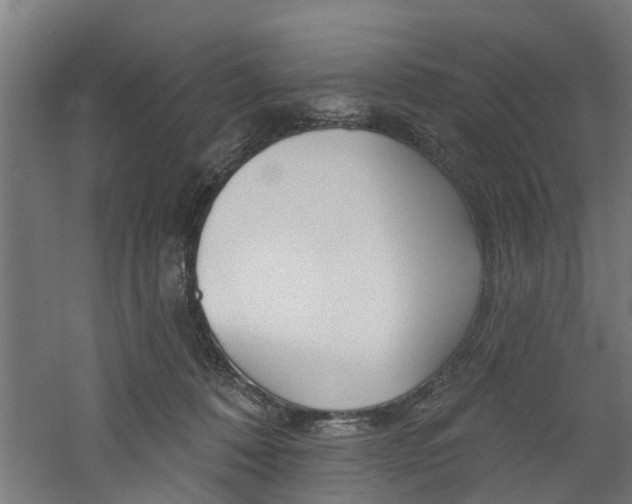 X0000060790320200511101041