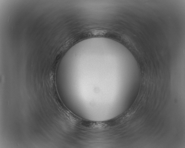 X0000060790321200511101041