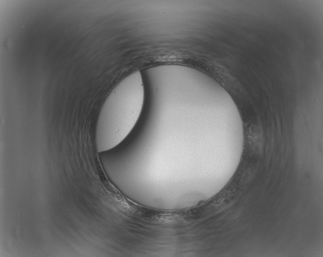 X0000060790322200511101041