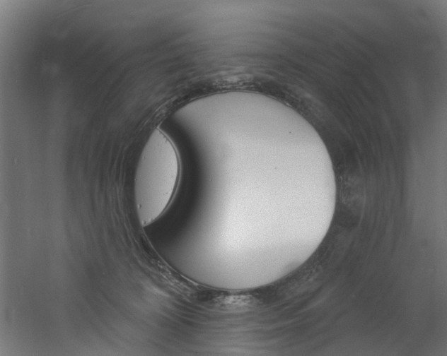 X0000060790324200511101041